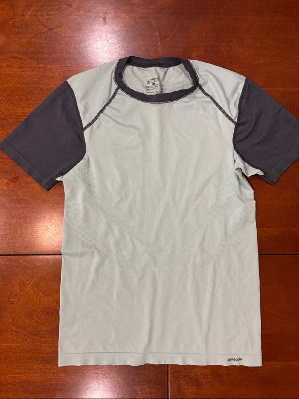 Patagonia Light Mint Green‎ and Charcoal Short Sleeve Shirt